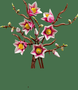 Lego Botanicals Ramas Magnolia - Set de Décoration Floral pour Adultes, Fleurs de Magnolia Rose et Blanc, 18 Ans et Plus