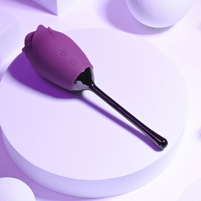 Stimulateur clitoridien Playboy Playboy Violet