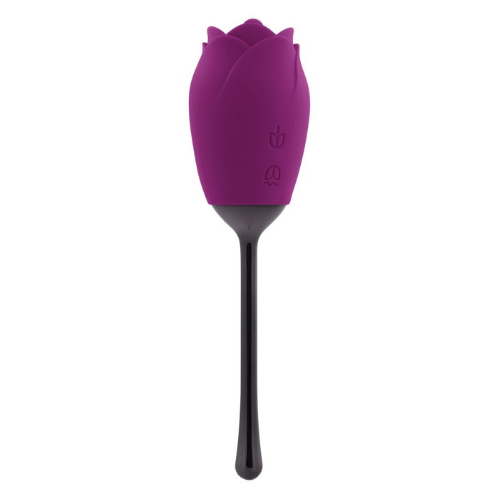 Stimulateur clitoridien Playboy Playboy Violet