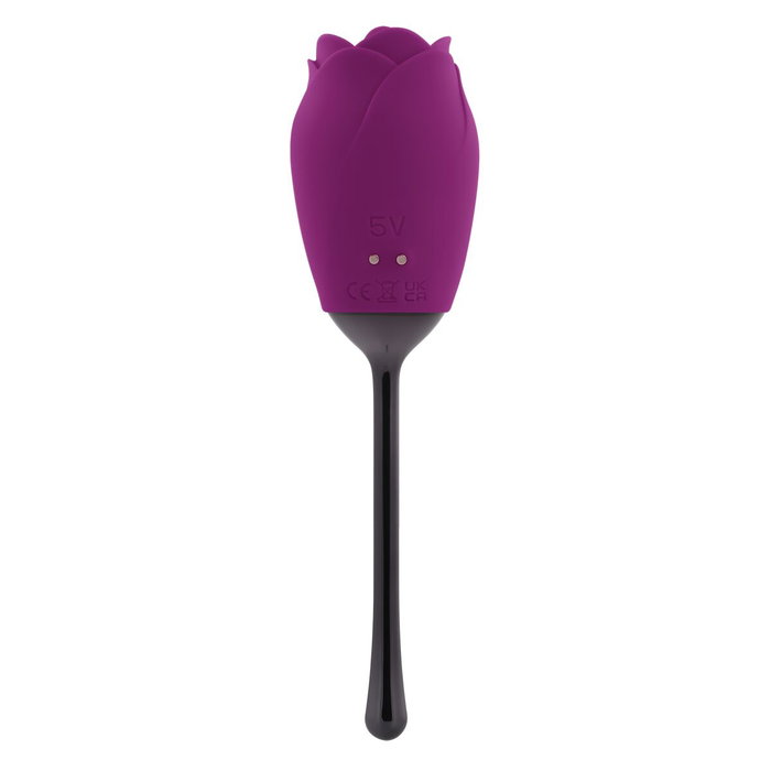 Stimulateur clitoridien Playboy Playboy Violet