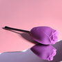 Stimulateur clitoridien Playboy Playboy Violet