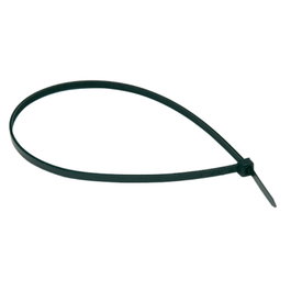 INDEX Brida de nylon noire 2,5 x 100 mm