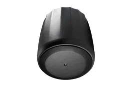 JBLPRO Control 60PS/T (Lot de 2)