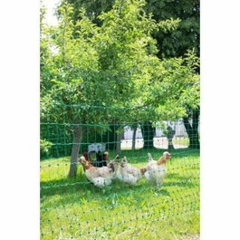 Kerbl Filet de protection pour poules Vert 50 m x 106 cm