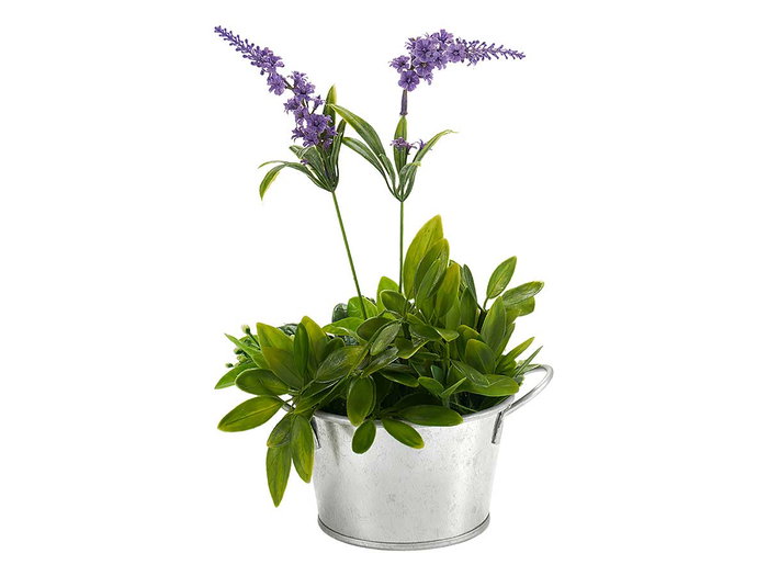 IBERGARDEN Macetero Bajo Zinc Plata