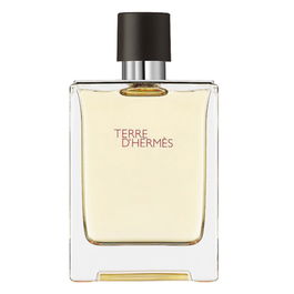 Hermes Terre d'Hermes Eau de Toilette pour Homme 100 ml - Flacon Testeur