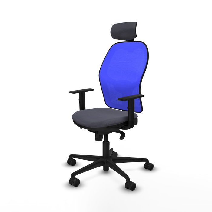 Piqueras y Crespo Chaise de Bureau Jorquera avec Appui-tête et Mécanisme Synchrone, Gris foncé et Bleu Piqueras y Crespo Chaise de Bureau Jorquera avec Appui-tête et Mécanisme Synchrone, Gris foncé et Bleu