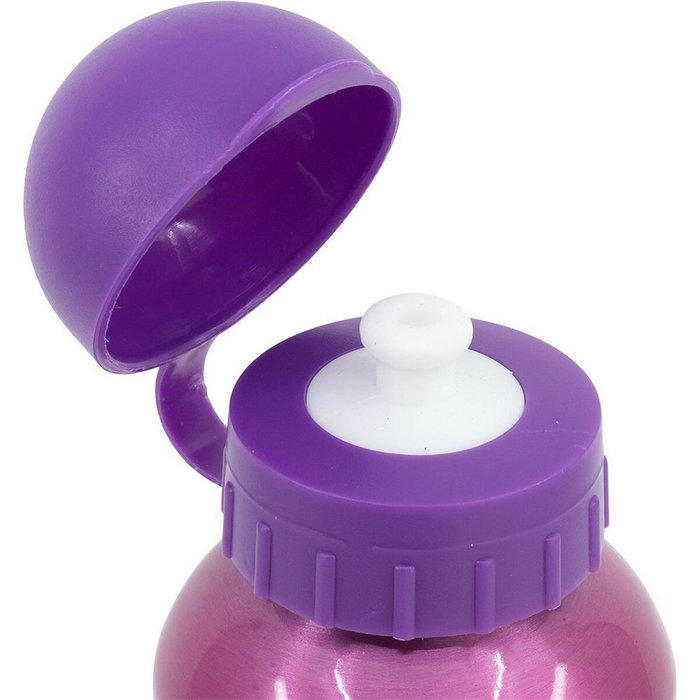 Disney Princess Bouteille d'eau en aluminium Rose 530 ml