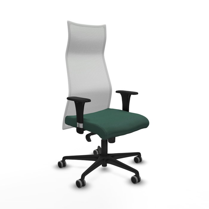 Piqueras y Crespo Chaise de Bureau Albacete XL Vert Bouteille et Blanc Piqueras y Crespo Chaise de Bureau Albacete XL Vert Bouteille et Blanc