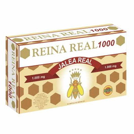 ROBIS REINA REAL 1000 20amp.