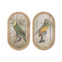 Home ESPRIT Cadre Verre et Rotin 35 x 2,5 x 60 cm (2 Unités)
