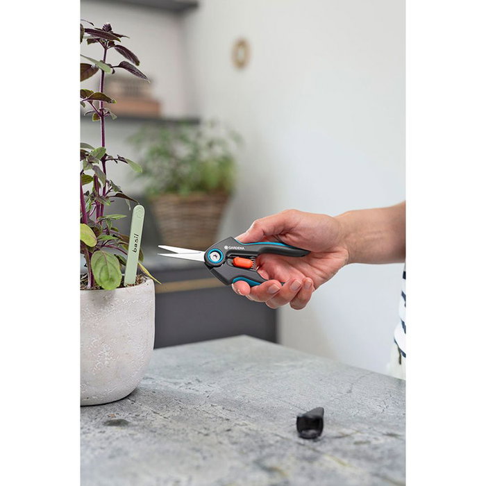 Gardena 12212-20 Freshcut Tijeras de précision à lames en acier inoxydable pour récolte d'herbes et fleurs Gardena 12212-20 Freshcut Tijeras de précision à lames en acier inoxydable pour récolte d'herbes et fleurs