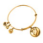 Alex And Ani Bracelet ARIES II Doré