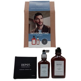 Depot - Kit Soin Capillaire Revitalisant Homme Antichute - Shampooing Multivitaminé 250 ml + Lotion Traitante 100 ml - Réf. 105 & 206