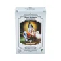 Radhe Shyam Henna Quinquina en poudre 100g