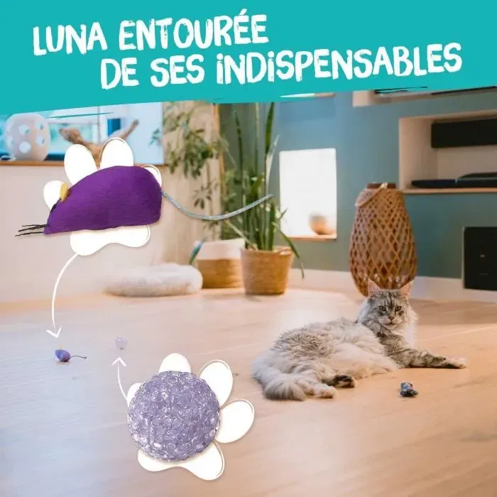 AIMÉ Lot de 7 Jouets pour Chat - Variété de Jouets Ludiques pour Intérieur et Extérieur