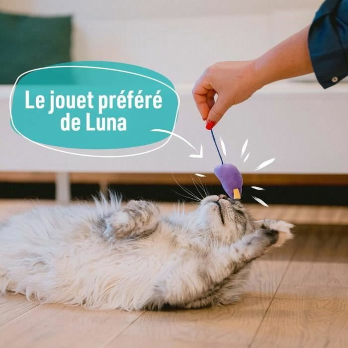 Aimé Lot de 7 Jouets pour Chat Rose et Bleu