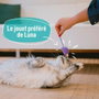 Aimé Lot de 7 Jouets pour Chat Rose et Bleu
