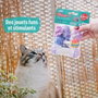 Aimé Lot de 7 Jouets pour Chat Rose et Bleu