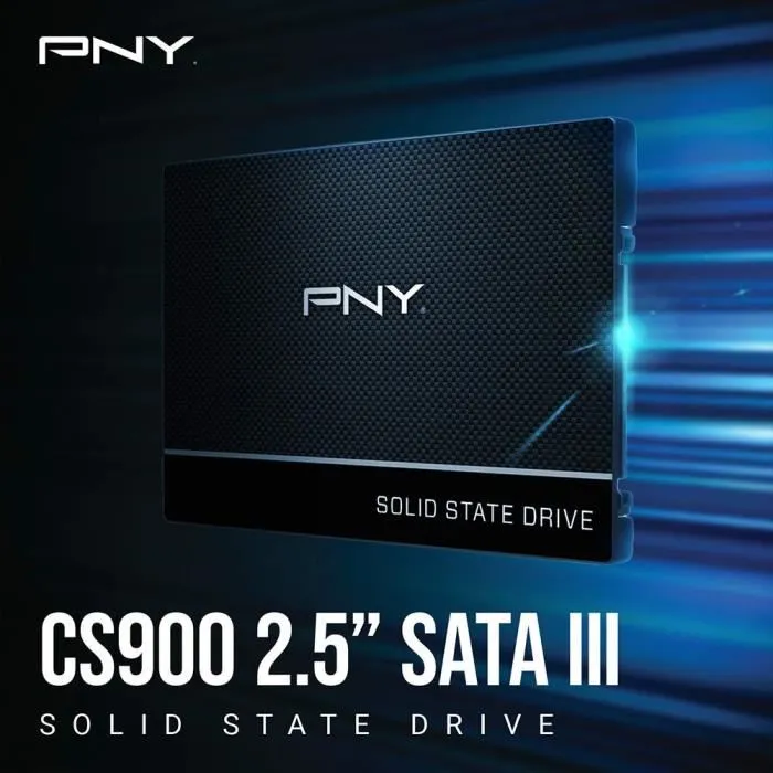 Pny SSD SATA 2.5 pouces 250Go CS900
