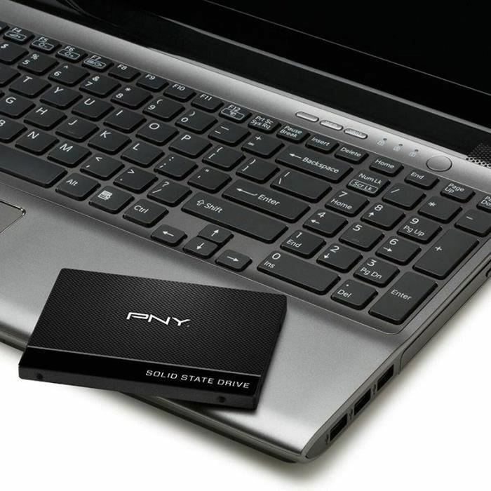 PNY CS900 SATA SSD Interne 2,5 pouces 250 Go