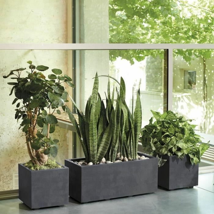 Deroma Pot de fleurs Cube Millennium R Anthracite 25 x 25 cm avec réserve d'eau