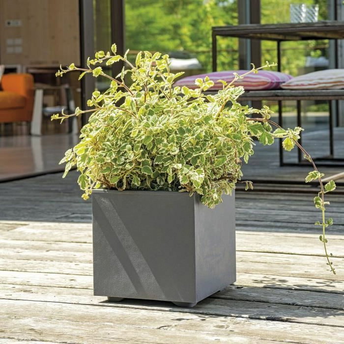 Deroma Pot de fleurs Cube Millennium R Anthracite 25 x 25 cm avec réserve d'eau