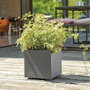 Deroma Pot de fleurs Cube Millennium R Anthracite 25 x 25 cm avec réserve d'eau