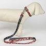 Cerdá Correa Premium pour Chien M Minnie Taille M - Rouge pour Chiot