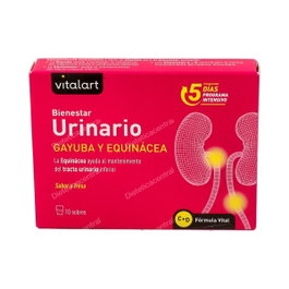 VITALART Bienestar Urinario 10 sachets