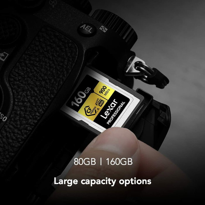 Clé USB Lexar LCAGOLD160G-RNENG Noir