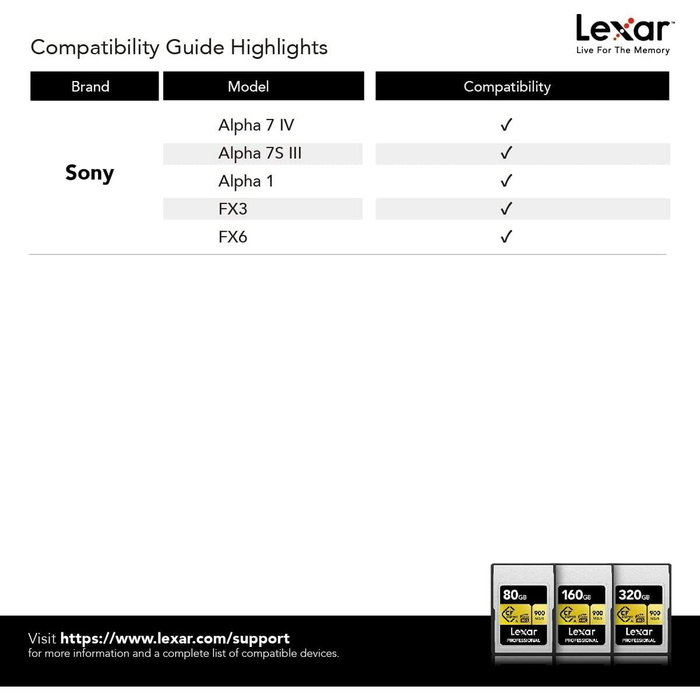 Clé USB Lexar LCAGOLD160G-RNENG Noir