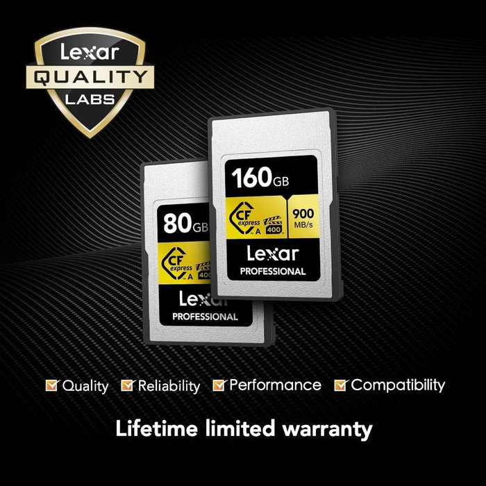 Clé USB Lexar LCAGOLD160G-RNENG Noir