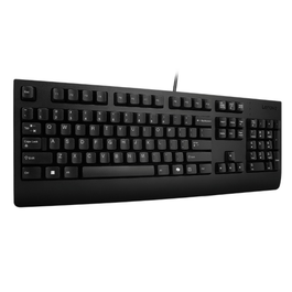 Lenovo Clavier Preferred Pro II USB Azerty Noir (4Y41R64596)