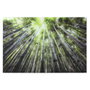 Home ESPRIT Cadre Verre trempé 150 x 0,4 x 100 cm Vert