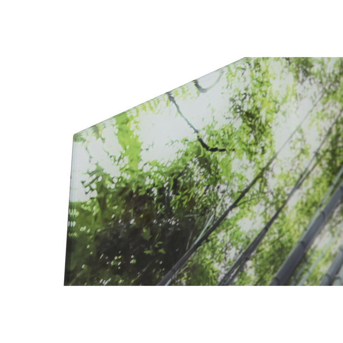 Home ESPRIT Cadre Verre trempé 150 x 0,4 x 100 cm Vert