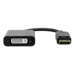 Garbot Adaptateur DisplayPort vers DVI M/F, Noir, 20cm