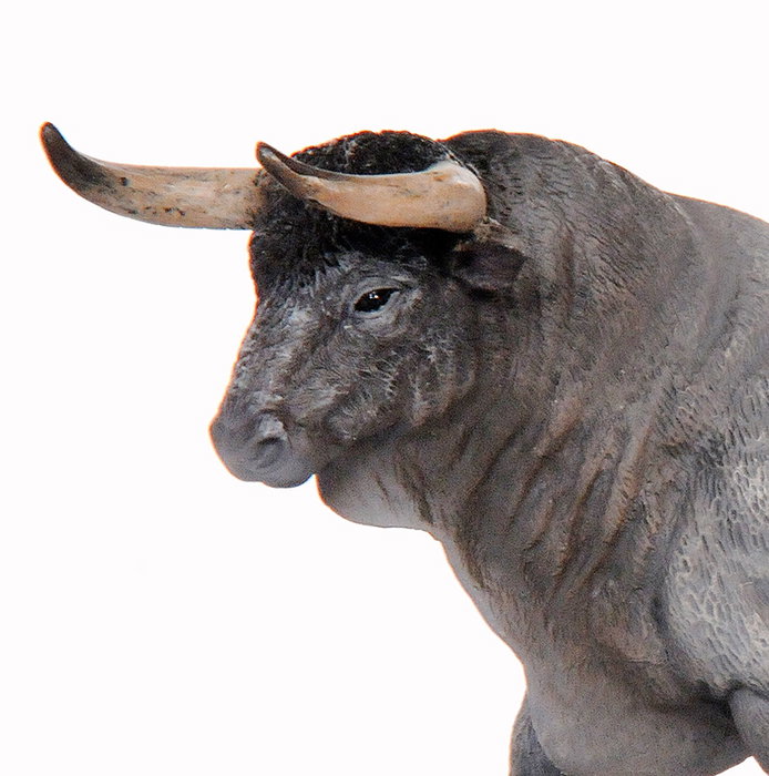 Deqube Figure animalière Toro Bravo Cardeno Trotando - Réplique peinte à la main détaillée - Collection de 20 toros