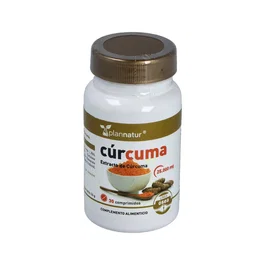 PLANNATUR Curcuma 95% 30comp.