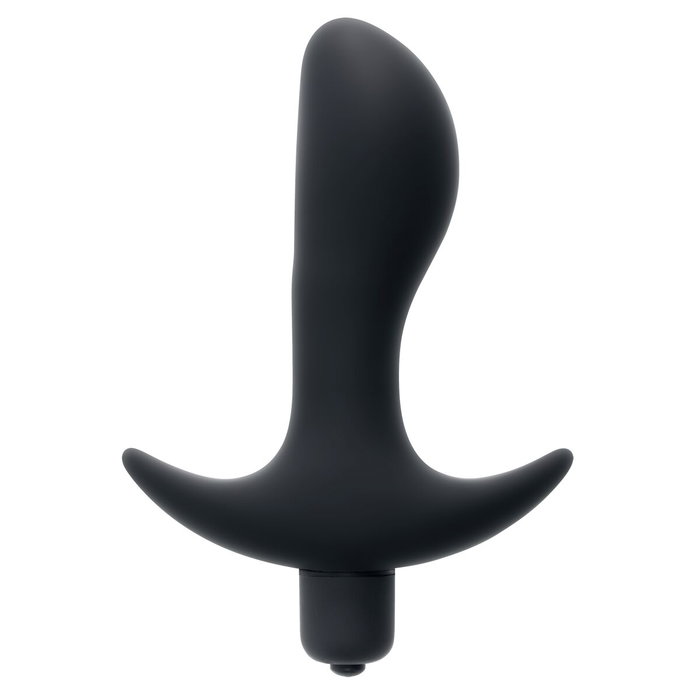 Plug Vibrant Anal Evolved Selopa Noir