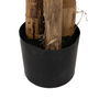 Plante décorative Caoutchouc Bananière 70 x 70 x 200 cm