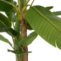 Plante décorative Caoutchouc Bananière 70 x 70 x 200 cm