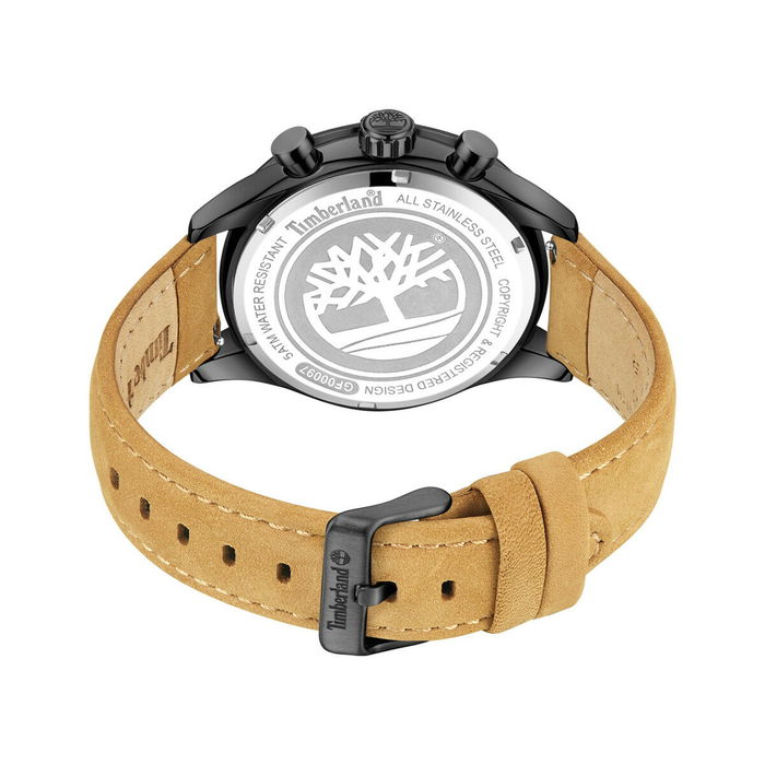 Montre Homme Timberland TDWGF0009701