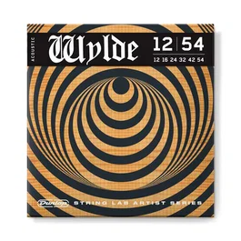 DUNLOPST – Jeu de cordes pour guitare acoustique Zakk Wylde, calibre 12-54