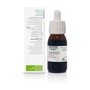 SORIA NATURAL Extrait d'Arnica S.XXI