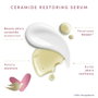 Dove Crème Hydratante Légère Visage, Corps et Mains 250 ml