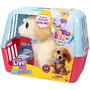 Little Live Pets - Mon chien Ouchies - Peluche chiot interactif avec patte cassée, plus de 50 sons, soin plâtre inclus - Jouet enfant dès 5 ans