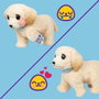 Little Live Pets Ouchies Retriever Cooper