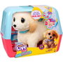 Little Live Pets Ouchies Retriever Cooper
