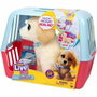 Little Live Pets Ouchies Retriever Cooper